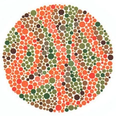 Planche pseudo isochromatique d'Ishihara, deuxième table de l'examen de la vision des couleurs